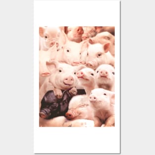 Pigs Posters and Art